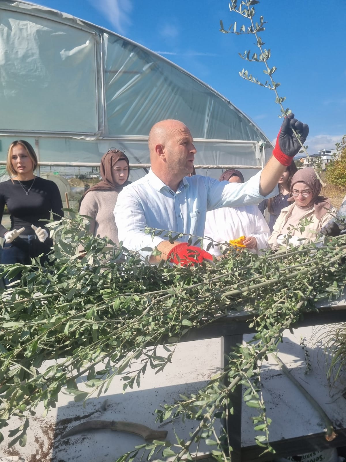 Sera Uygulaması Etkinliği